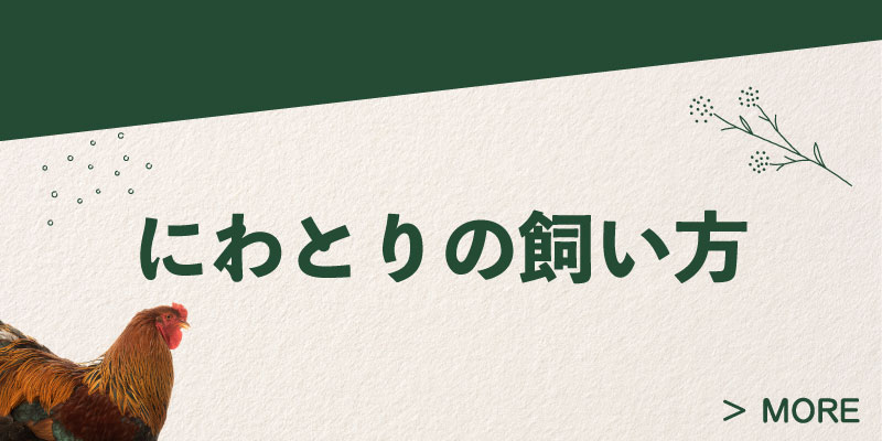 にわとりの飼い方