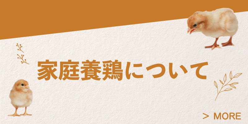 家庭養鶏について